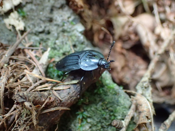 f0214649_03394245.jpg