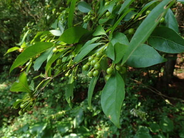 f0214649_03402529.jpg