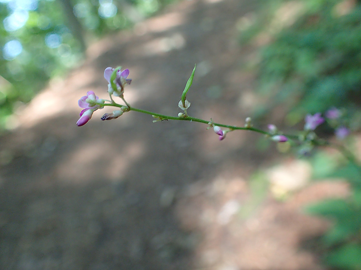 f0214649_03475263.jpg