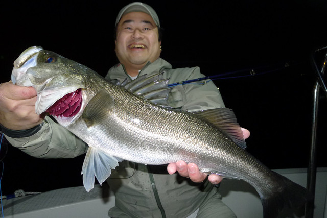釣り旅 横浜港 シーバスナイトゲーム 釣れたらいいね 釣り旅 横浜港 シーバスナイトゲーム 釣れたらいいね