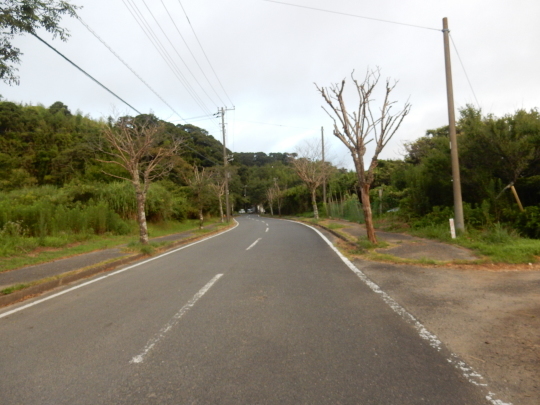 ’19,8,8(木)田舎道が急激に変化している!_f0060461_08232567.jpg