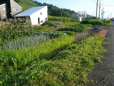 d0074063_07463311.jpg