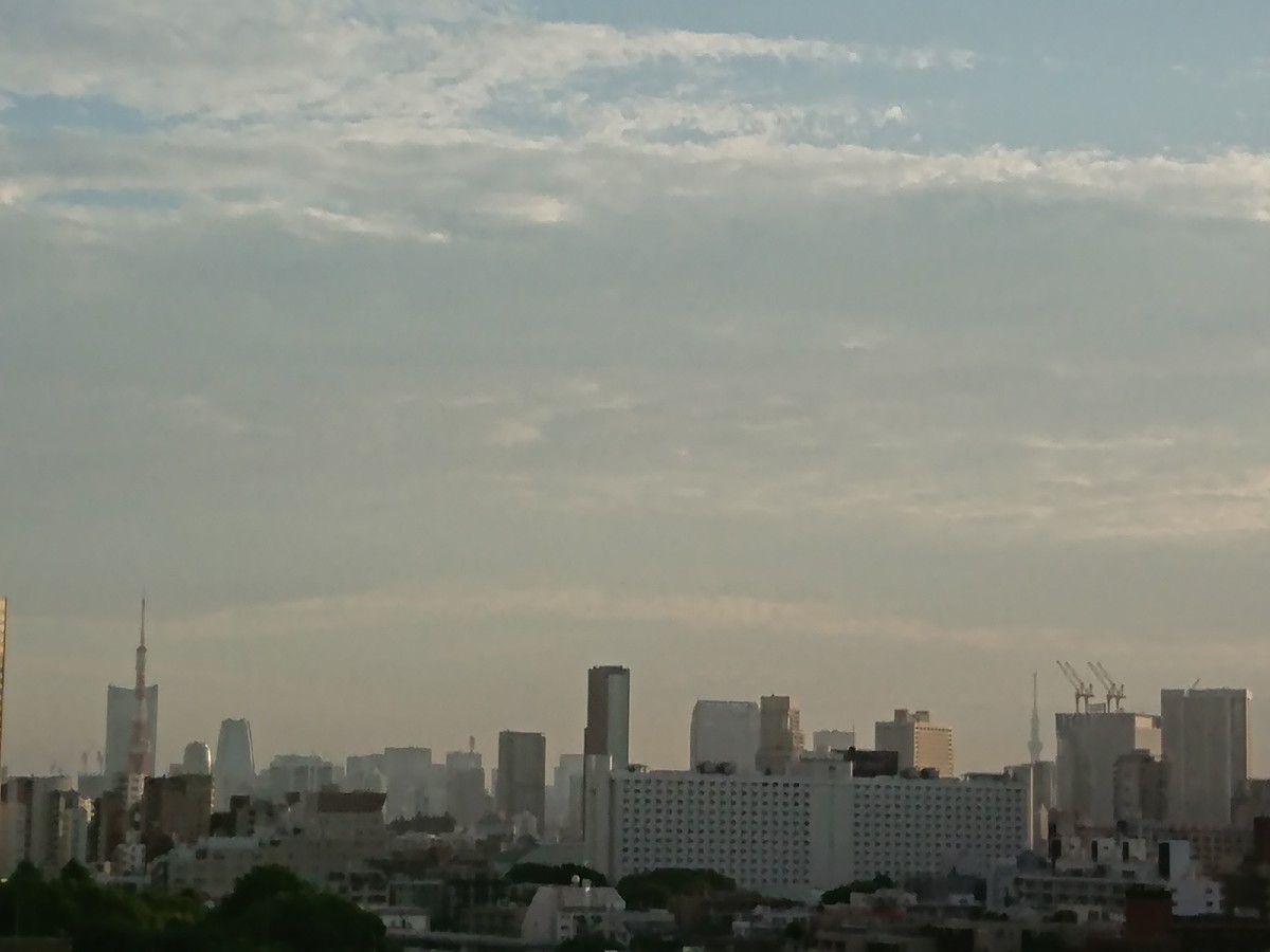 おはようモーニング_c0100865_06065822.jpg