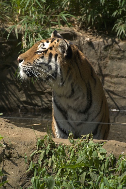 a0188771_23412633.jpg