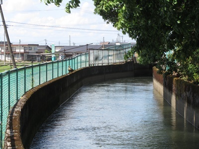 b0149071_10341742.jpg