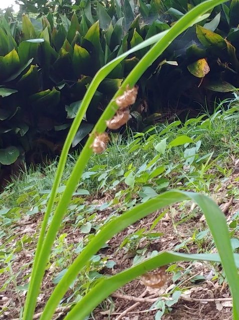 c0162773_10025420.jpg