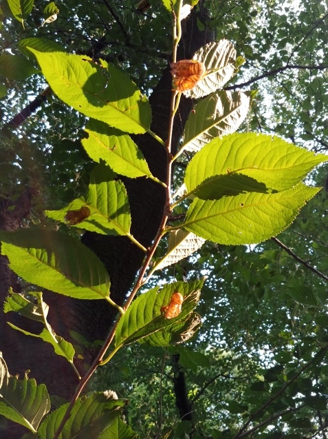 c0162773_10070357.jpg