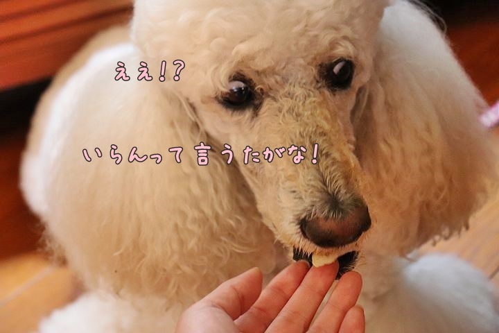 b0111376_15511318.jpg