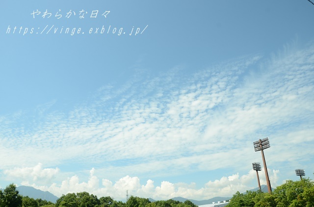 a0158478_09075414.jpg