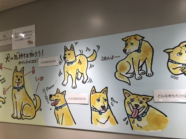 b0377882_15404948.jpeg