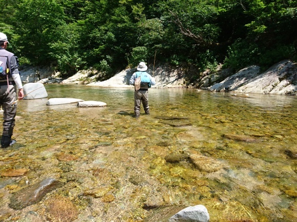 c0157482_08494776.jpg
