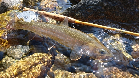 c0157482_09174387.jpg