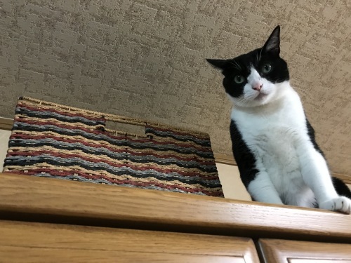a0216583_23332088.jpeg