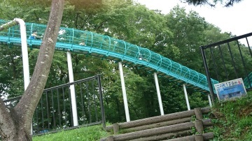 b0207284_08155719.jpg