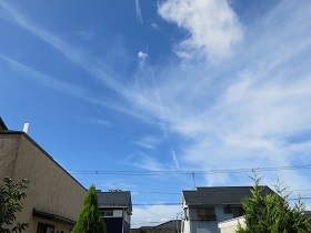 e0130185_10252728.jpg