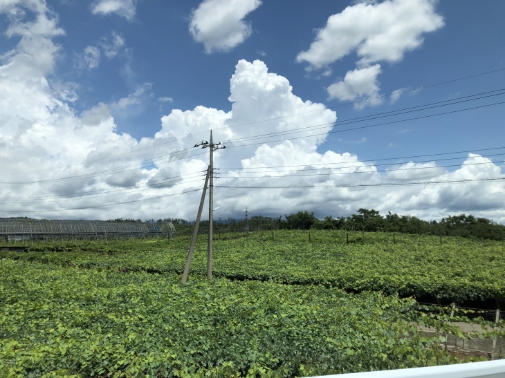 昇仙峡の山頂に立って大地のパワーをたっぷりチャージ！_b0400786_18553025.jpg