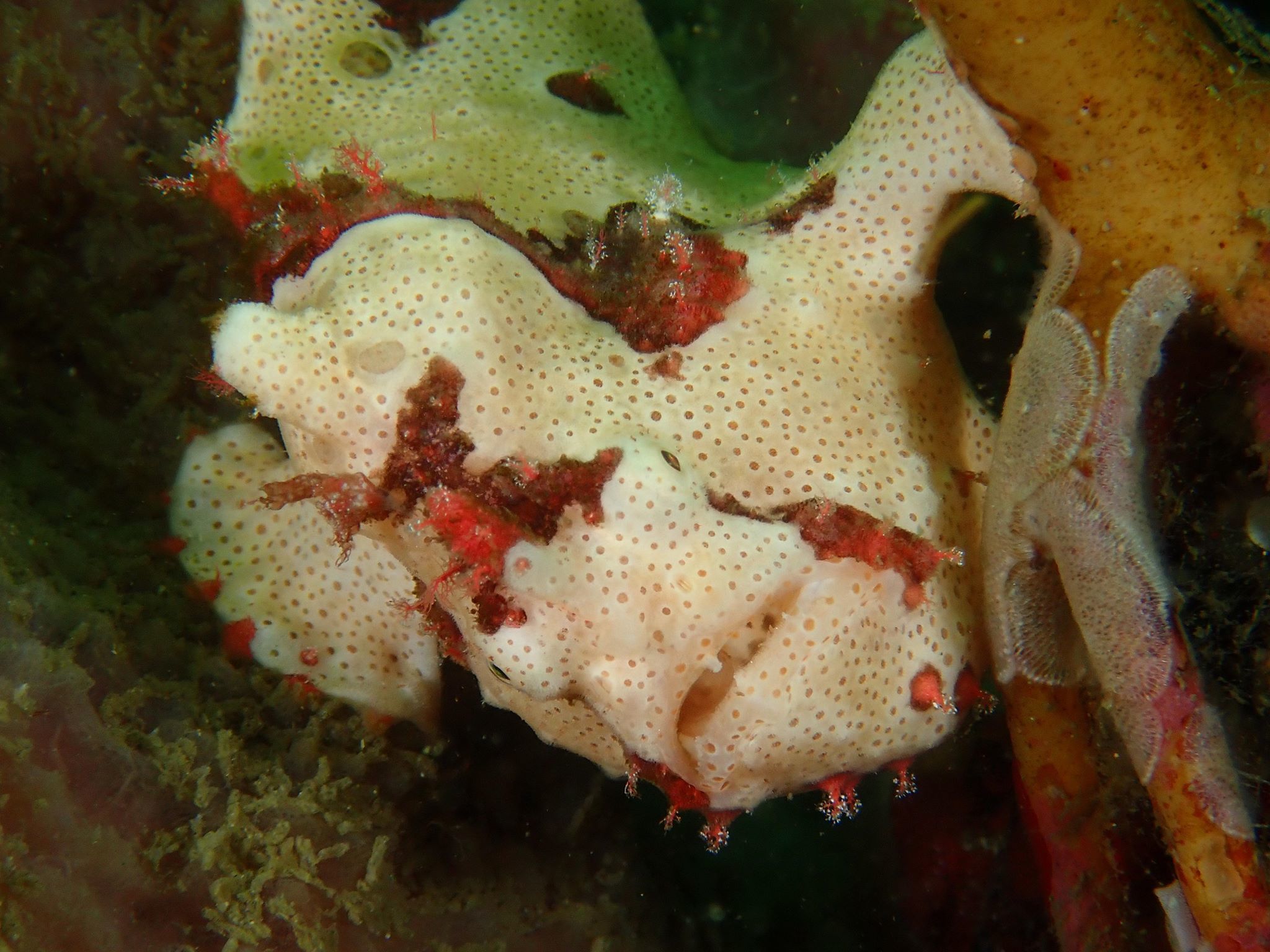 f0151886_16382201.jpg