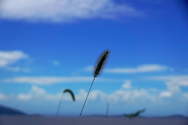 a0345188_03144999.jpg