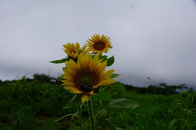 a0345188_03220861.jpg