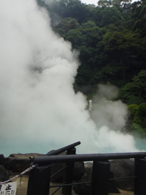ねんきんQuiz-第567問(適用事業所)_d0132289_13451617.jpg