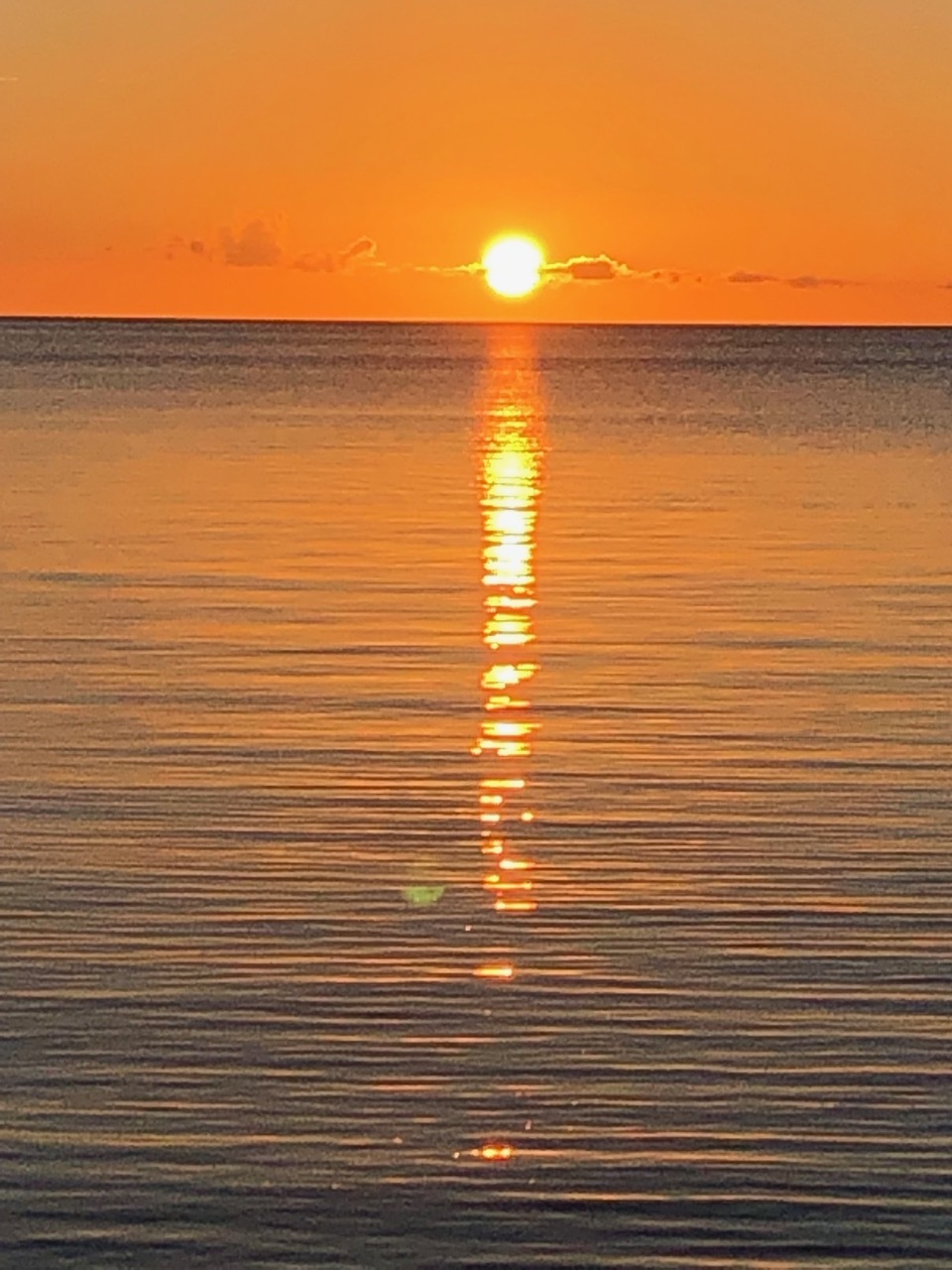 Island Tour Taketomi  /   竹富島_b0195093_06122785.jpg