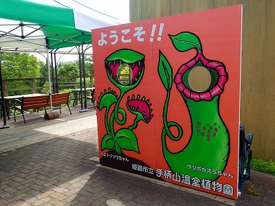 f0203094_15410304.jpg