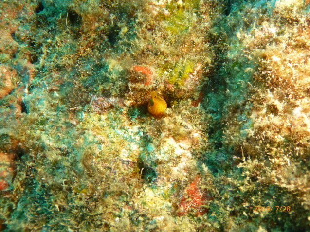 e0115199_19230550.jpg