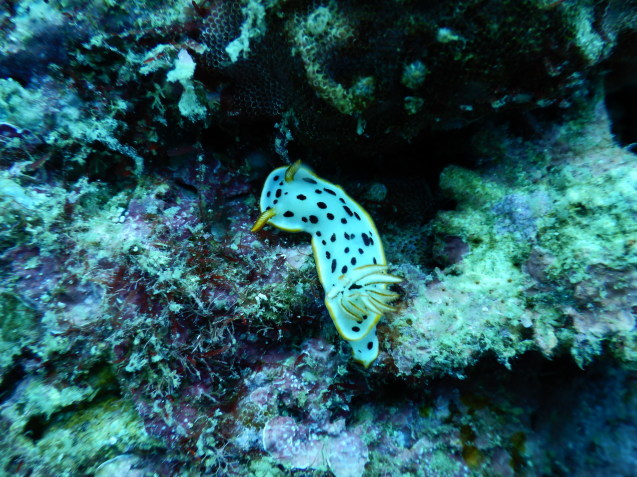 e0115199_19235509.jpg