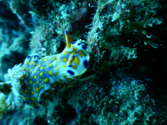 e0115199_19240648.jpg