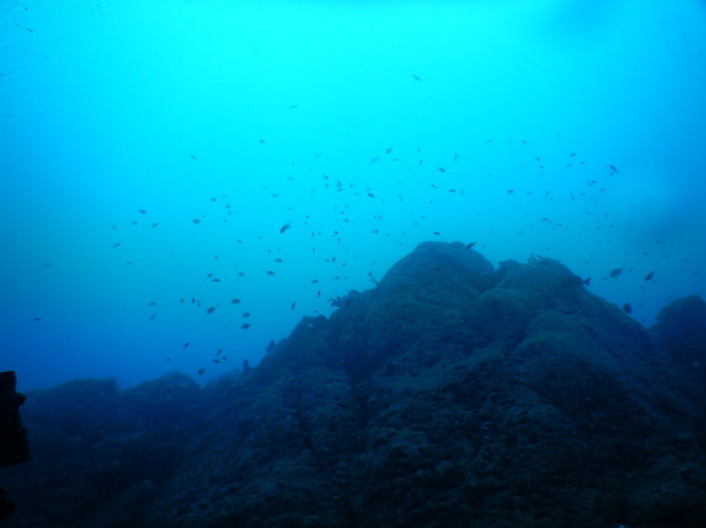 e0115199_19242477.jpg
