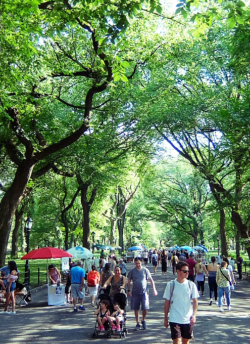 夏のニューヨークの風景、セントラルパーク最大の並木道（The Mall）_b0007805_03472336.jpg