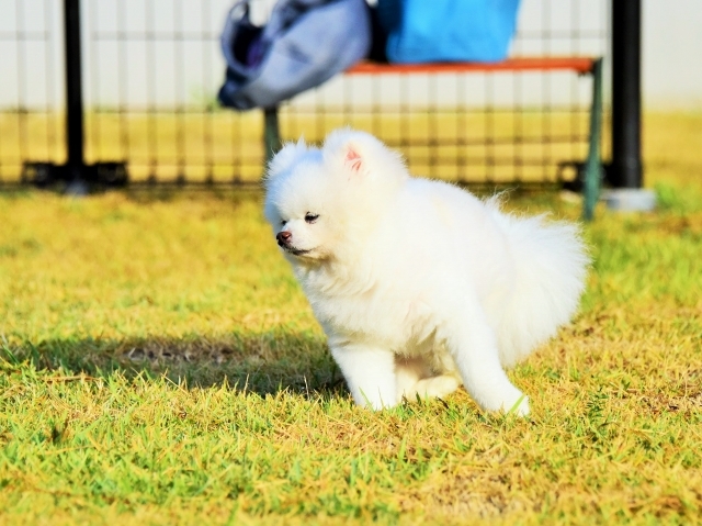 声援よ届け_d0360206_00192322.jpg