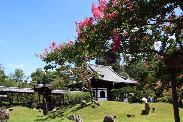高台寺 夏の盛り_e0048413_22475997.jpg