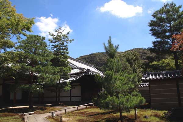 高台寺 夏の盛り_e0048413_22481639.jpg
