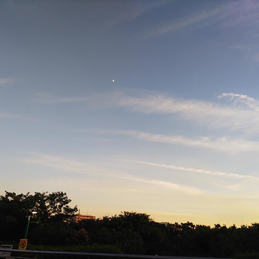 a0098418_14012189.jpg