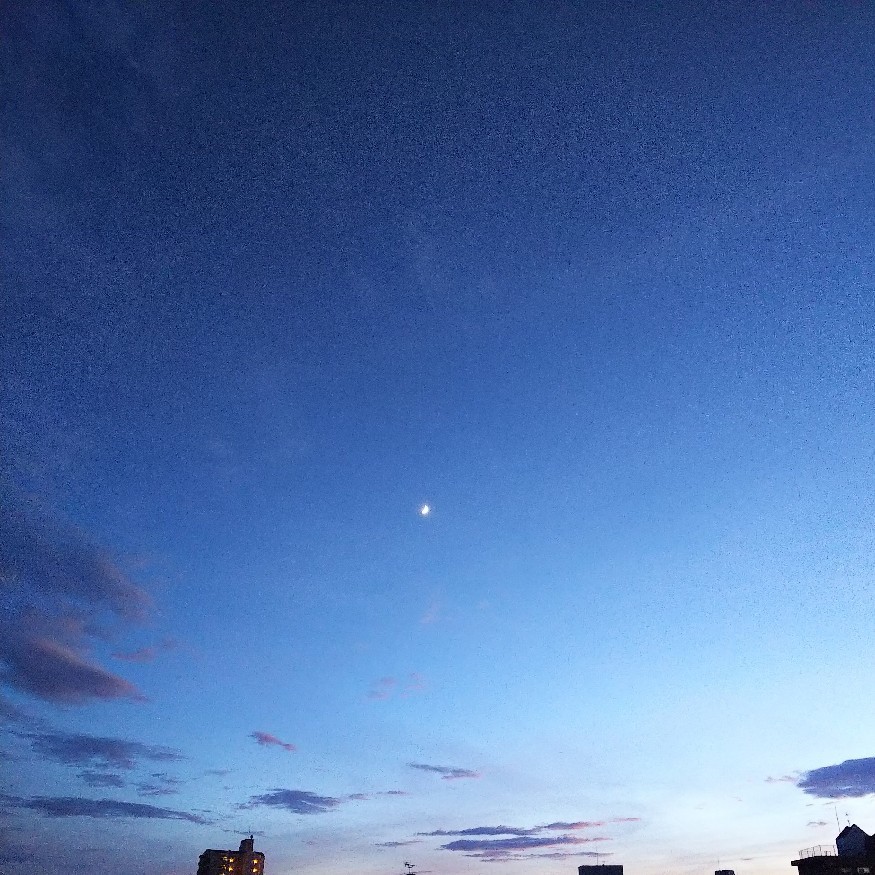 a0098418_14012277.jpg