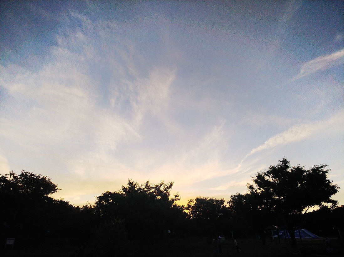 a0098418_14031588.jpg