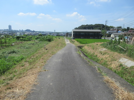 【外周・空き区画】除草が完了しました！_d0247727_12593917.jpg