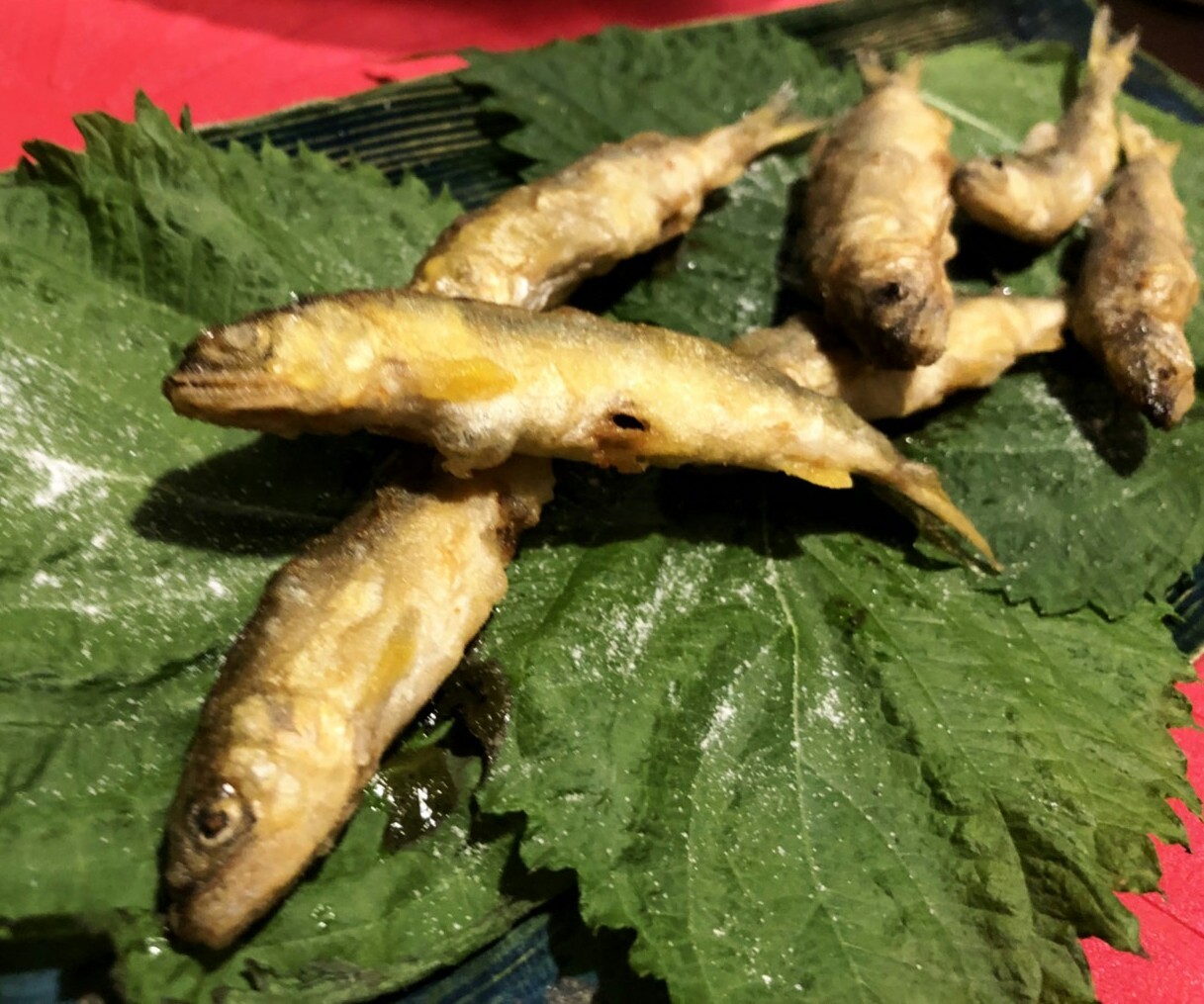 f0361132_12253455.jpg