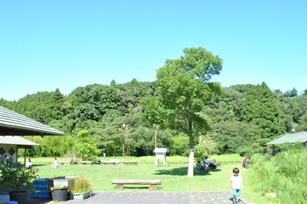 a0123836_14585217.jpg