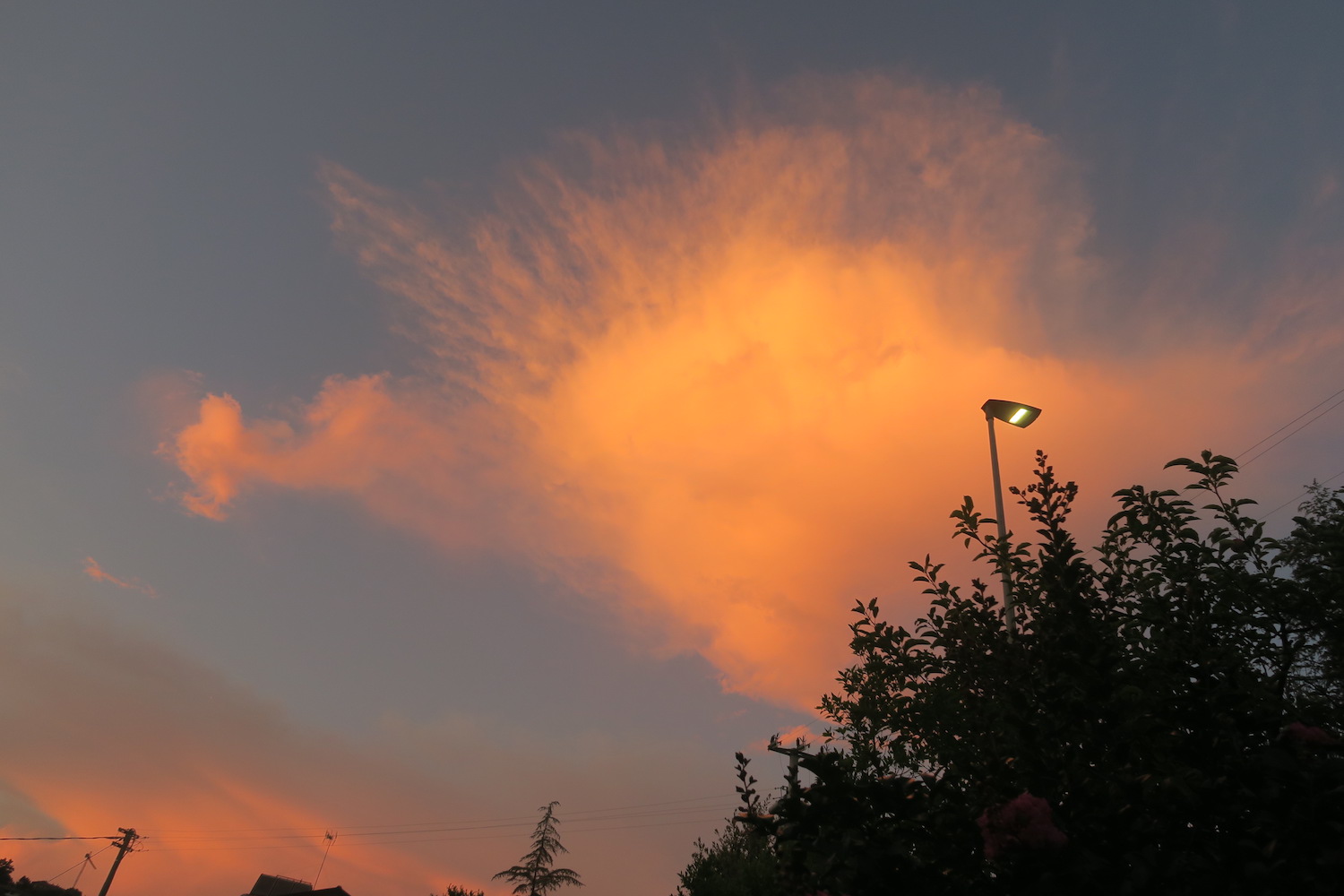 f0234936_672834.jpg