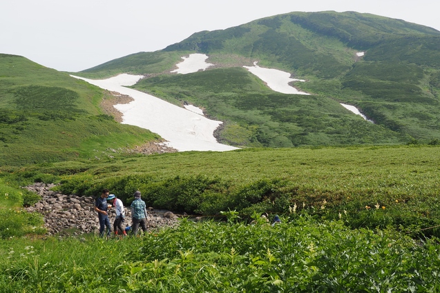 2019/8/4 鳥海山(湯ノ台コース)_b0189948_20141399.jpg