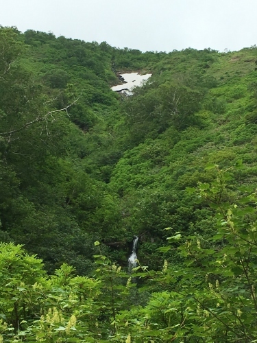 白滝村「平山」登山_e0326953_10572226.jpg