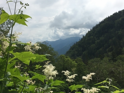 白滝村「平山」登山_e0326953_10585239.jpg