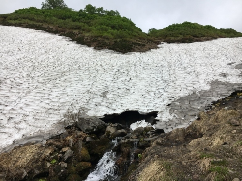 白滝村「平山」登山_e0326953_11091616.jpg