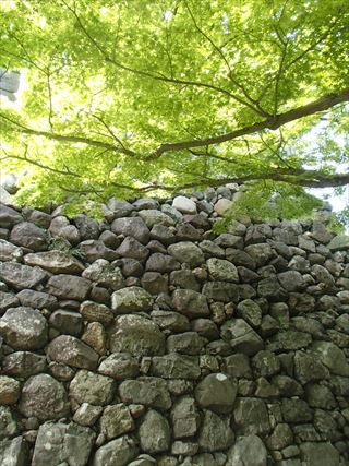 e0044657_20465044.jpg