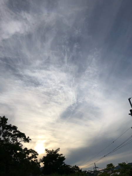 f0362457_21392635.jpg