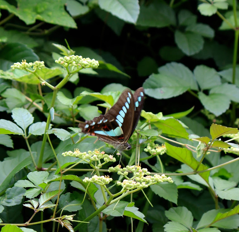 a0248459_14464961.jpg