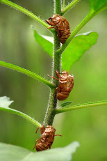 a0248459_14475444.jpg