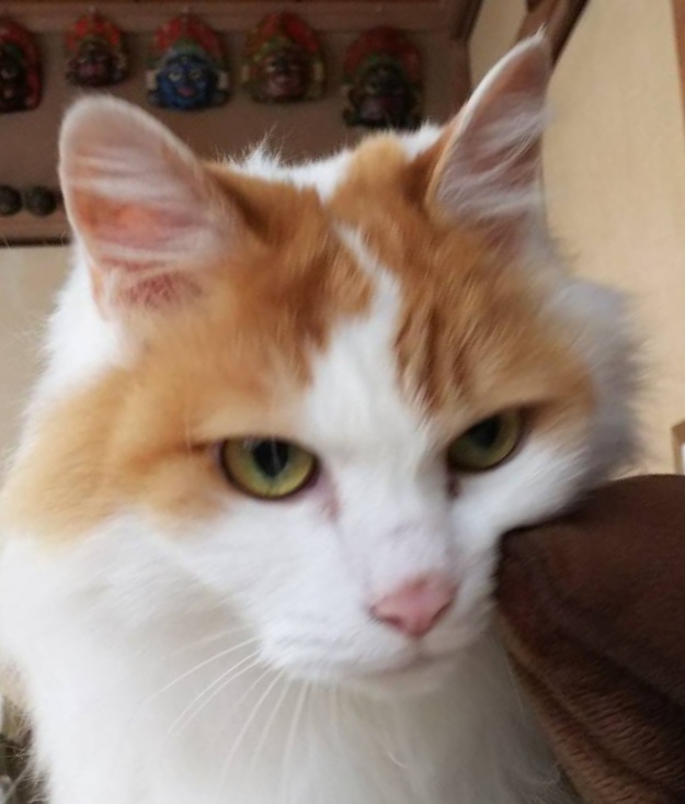a0053063_23362402.jpeg